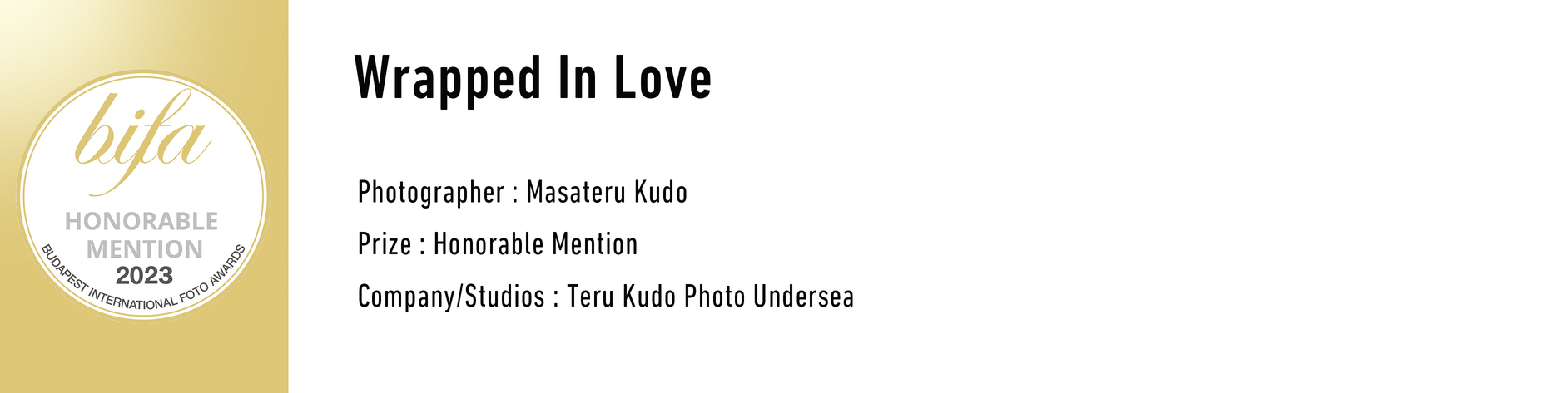 bifa HONORABLE MENTION 2023 BUDAPEST INTERNATIONAL FOTO AWARDS Wrapped In Love Photographer: Masateru Kudo. Prize Honorable Mention Company/Studios: Teru Kudo Photo Undersea